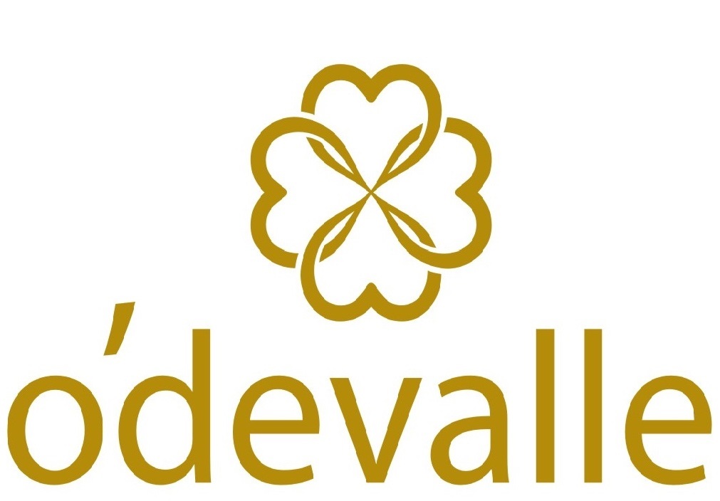 logo-odevalli